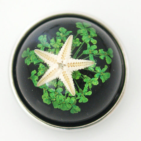 coastal star